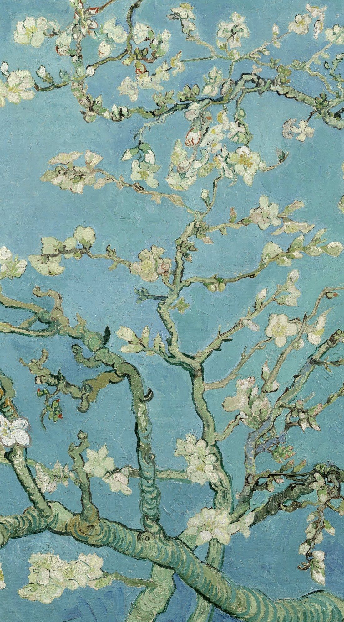Almond Blossom · Van Gogh